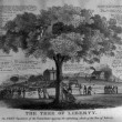 The free population of the United States enjoying the refreshing shade of the tree of liberty