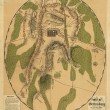 Field of Gettysburg, July 1st, 2nd & 3rd, 1863