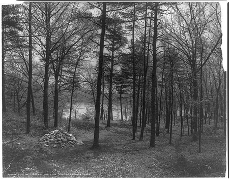 Site of Thoreau's hut, Lake Walden, Concord, Mass.
