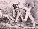 Effects of the Fugitive-Slave-Law