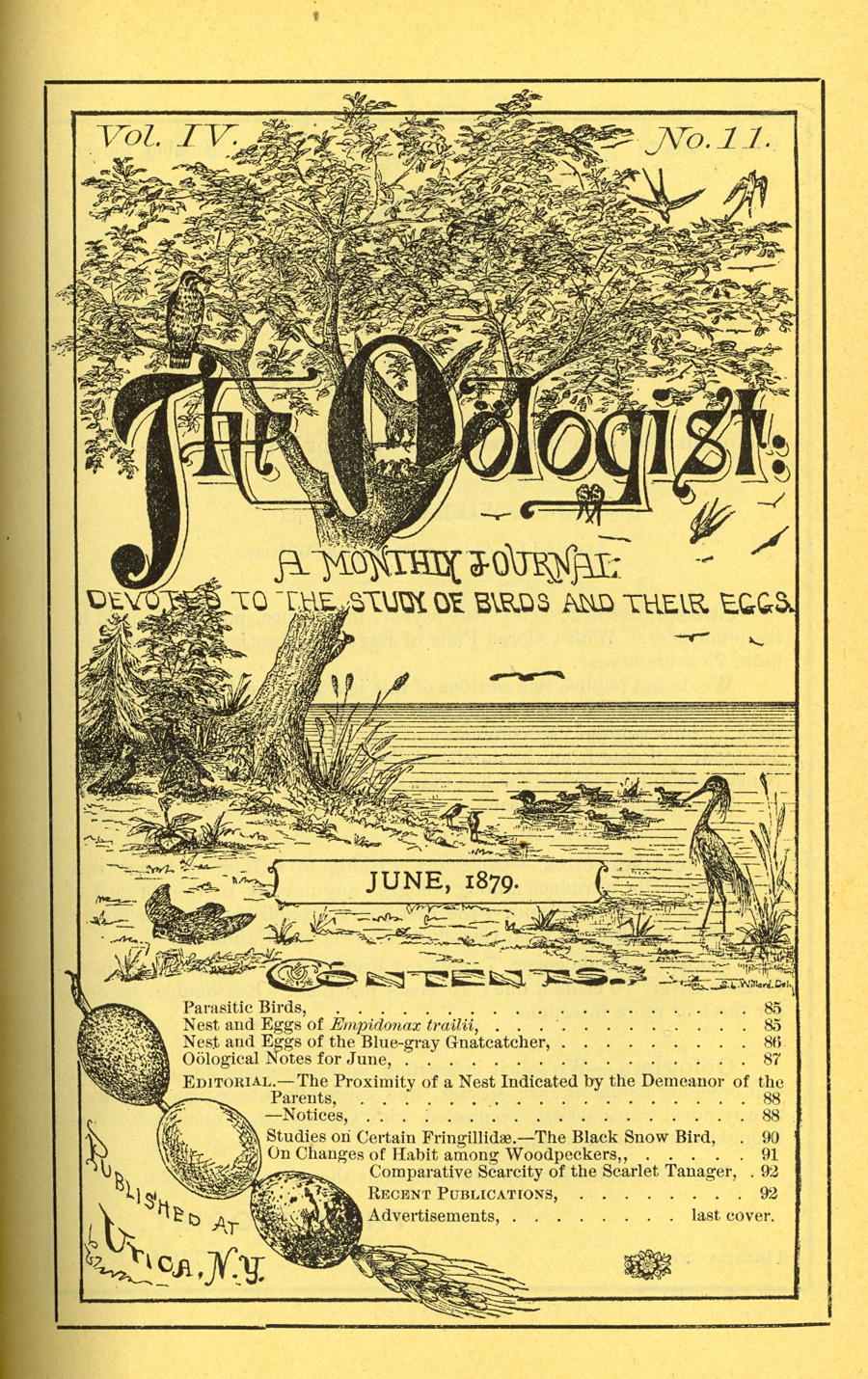 Guided Primary Source Analysis: The Oologist