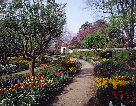 Along a beautiful path in springtime at Virginia's Mount Vernon