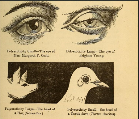 Page from a book describes how eye shapes relate to types of love