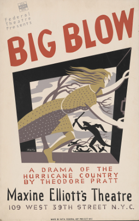 Poster of a Drama of the Hurricane Country at a New York Theater
